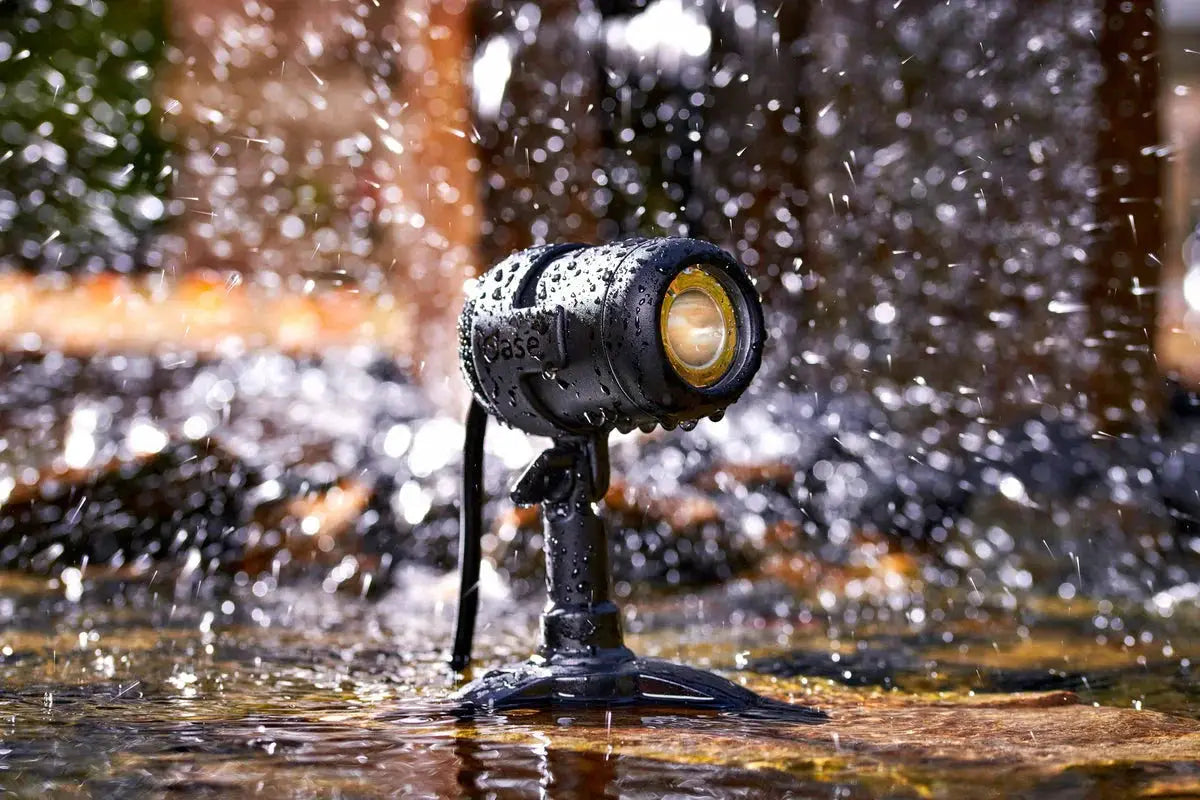 OASE Strom & Beleuchtung – sichere Energieversorgung und stimmungsvolles Licht - Japankoi.net