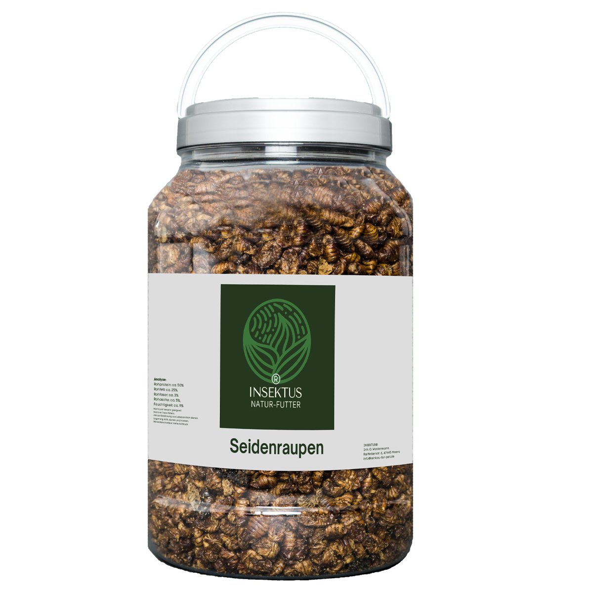 Insektus® Seidenraupen im Vorratsbehälter 5L.