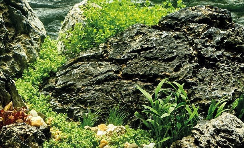 Die beste Pflege für dein Aquarium