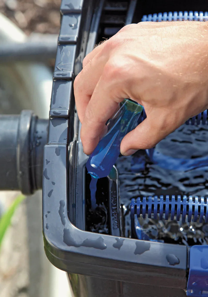 Starterkulturen – biologischer Kickstart für klares Wasser