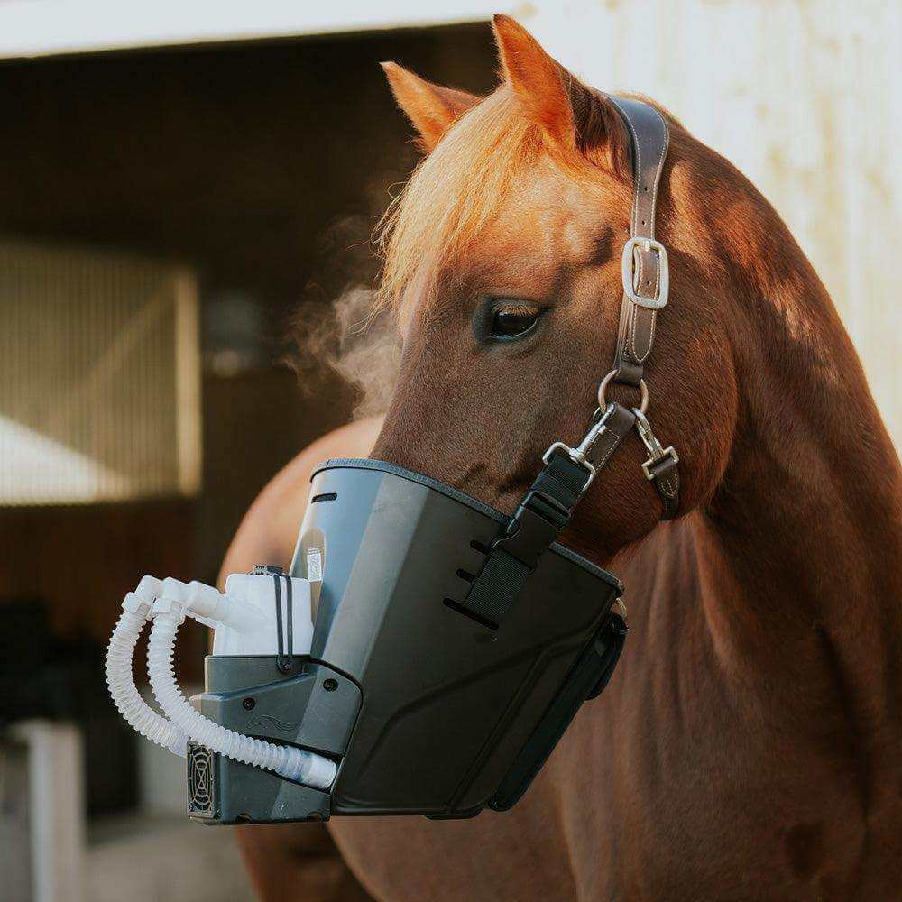 Inhalator für Pferde – Effektive Atemwegstherapie