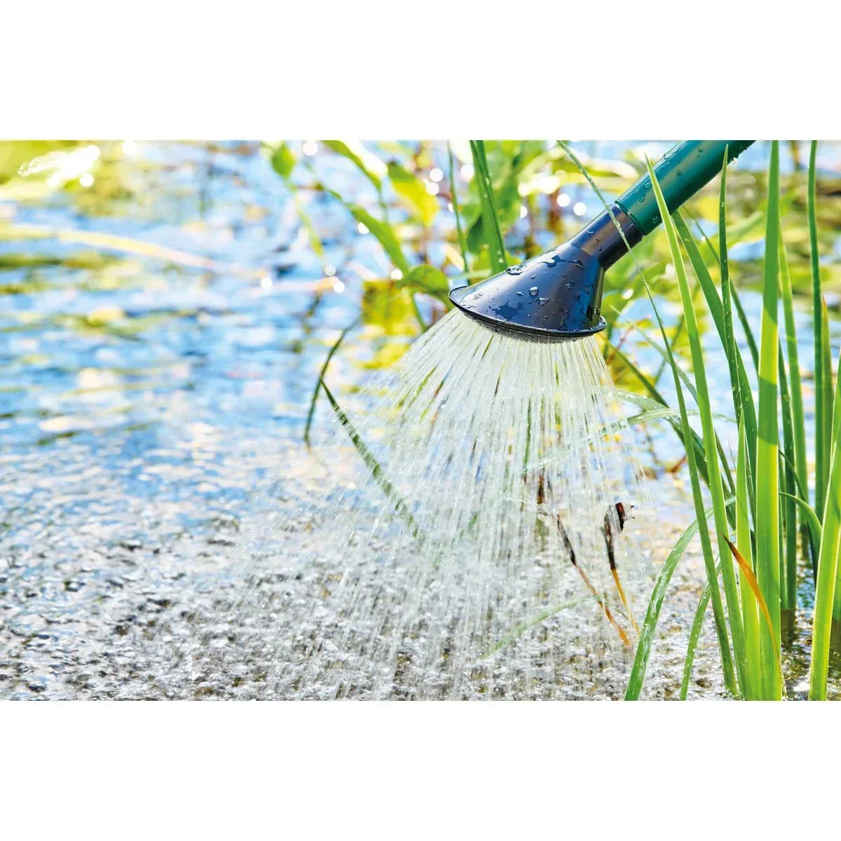 Pflegemittel & Fischarznei – Gesundheit, Klarheit & Prävention für deinen Teich