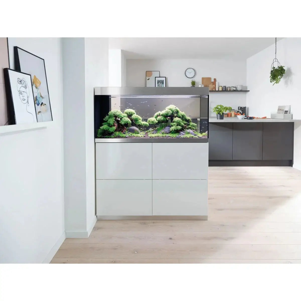 Aquarien – Die perfekte Basis für Ihr Unterwasserparadies - Japankoi.net