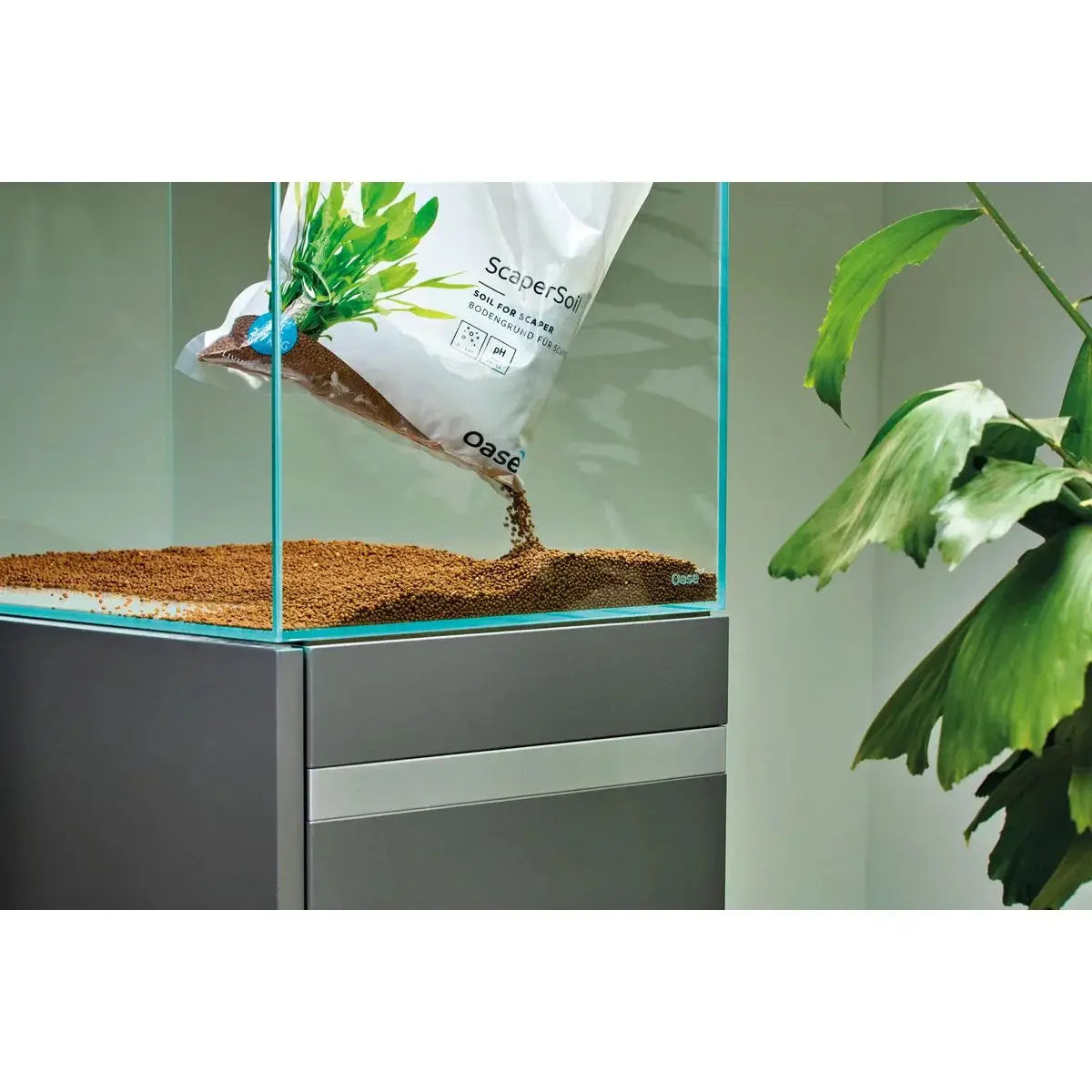 Bodengrund & Substrat – die Basis für dein Aquarium - Japankoi.net