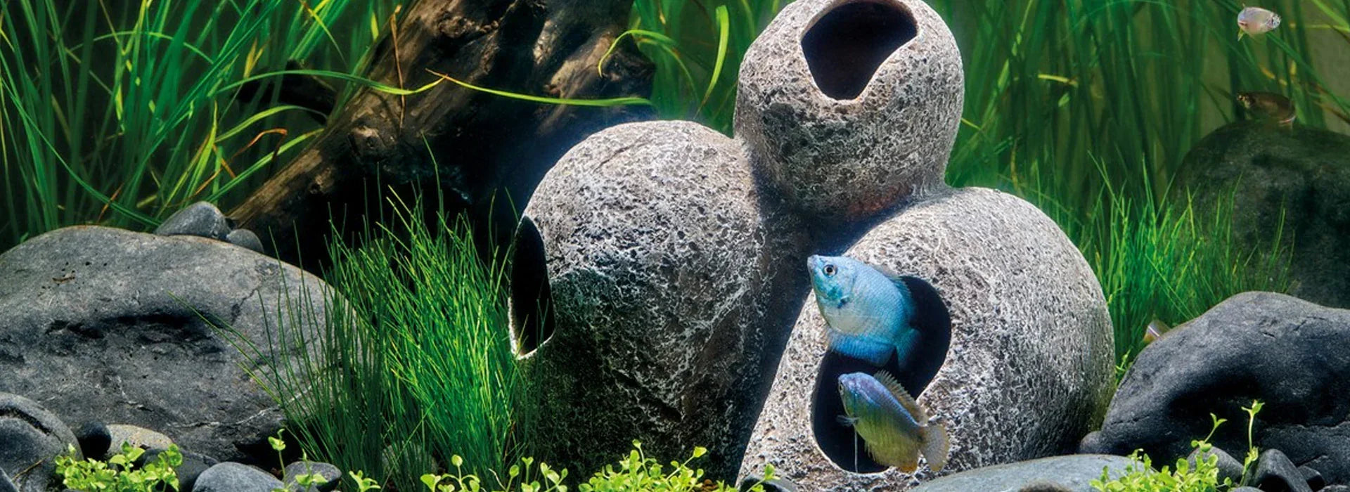 Dekoration & Einrichtung – Atmosphäre unter Wasser schaffen - Japankoi.net