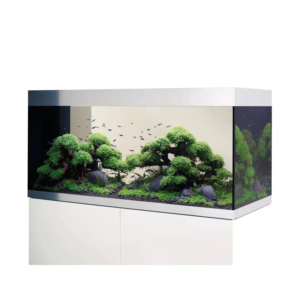 Einrichtung & Dekoration – Lebendige Akzente für dein Aquarium - Japankoi.net