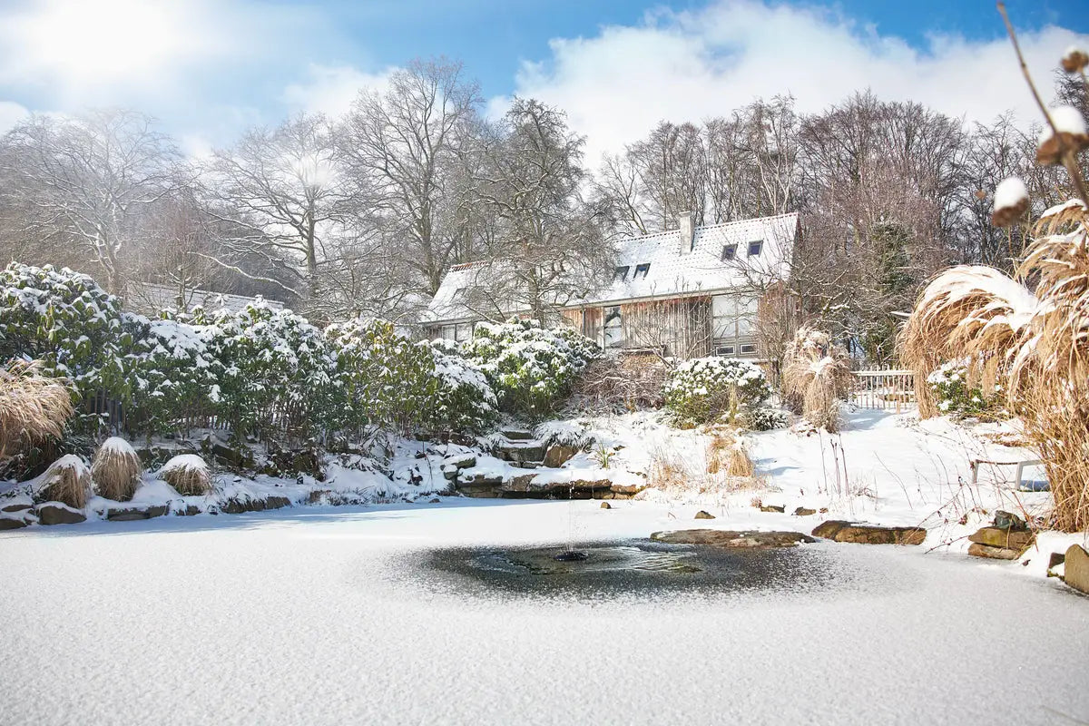 Eisfreihalter – Sicherheit gegen Frost im Teich - Japankoi.net