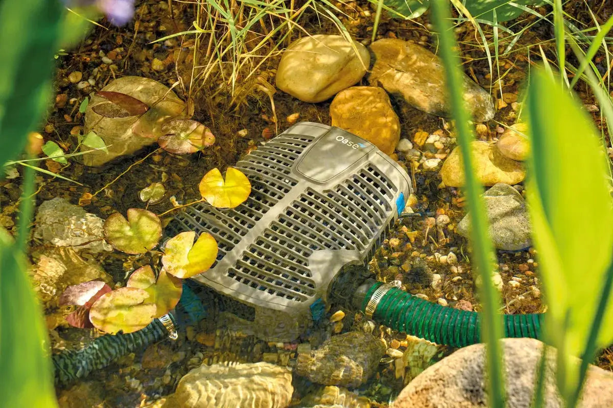 Filterpumpen und Bachlaufpumpen - Japankoi.net
