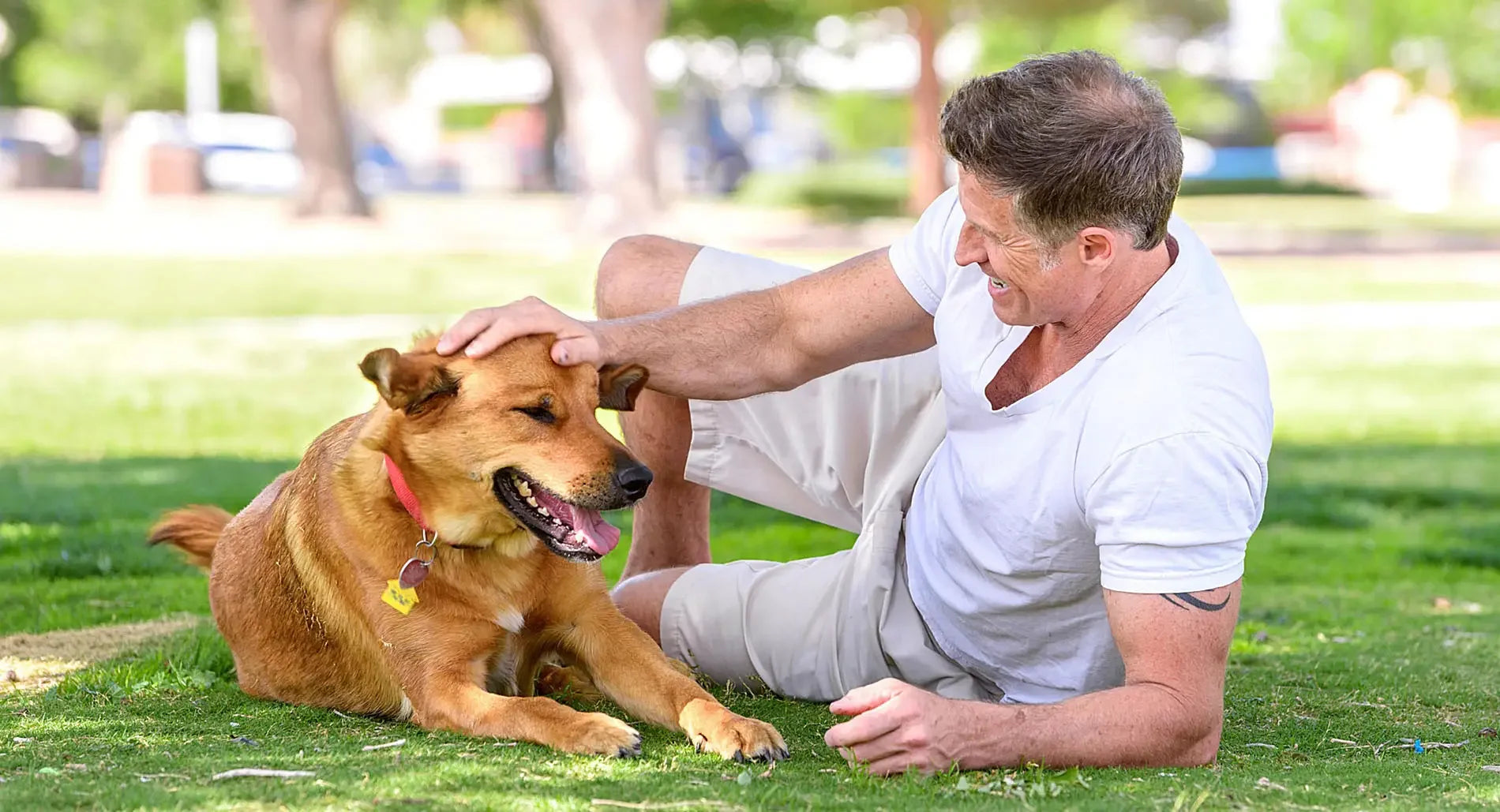 Hund Katze & Pferd – hochwertiges Zubehör & Pflege für deine Tiere