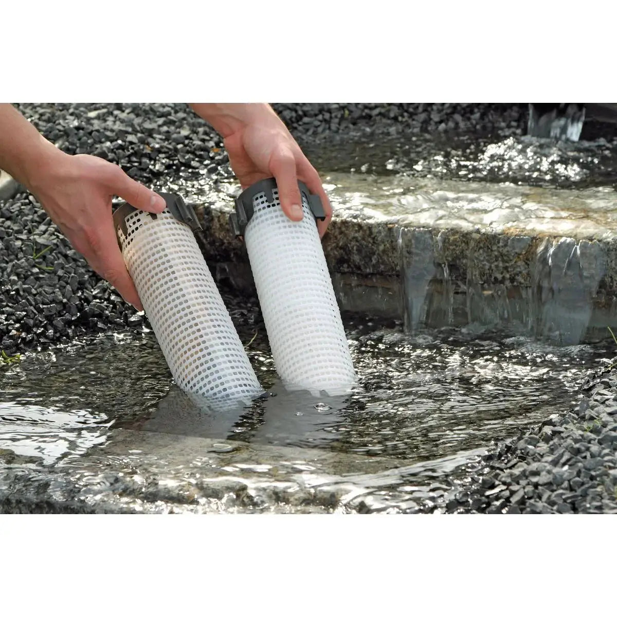 Nährstoffe binden – klares Wasser und weniger Algen - Japankoi.net