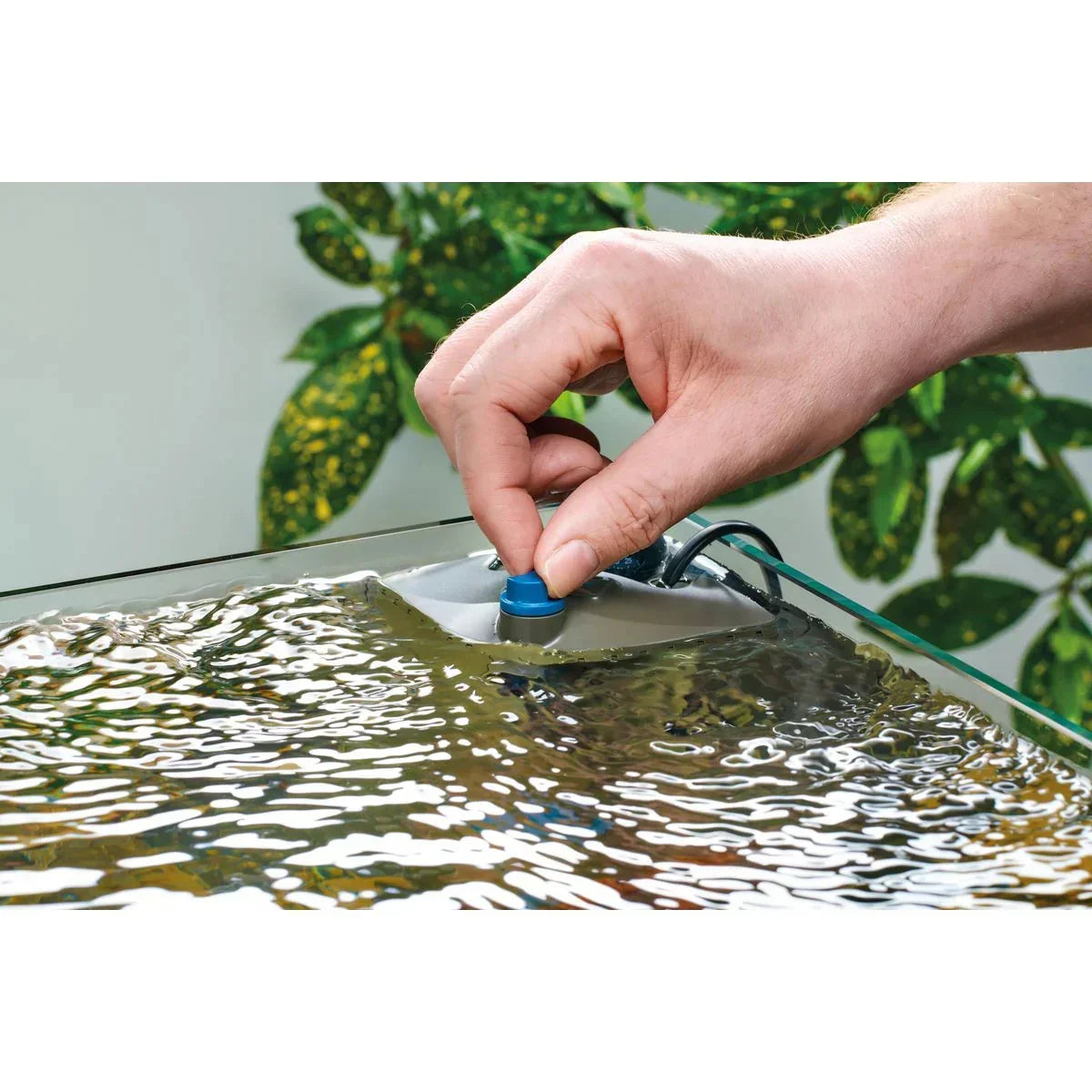 Innenfilter – kompakte, effektive Technik für dein Aquarium