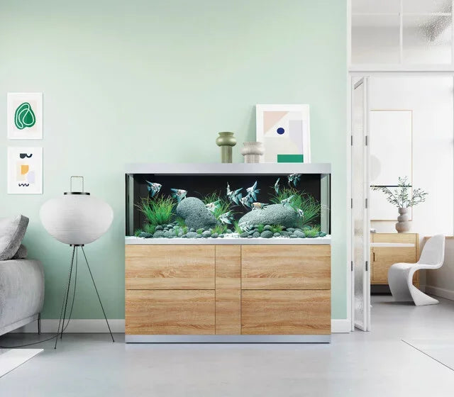 HighLine – Premium-Aquarien mit Design & Technik vereint