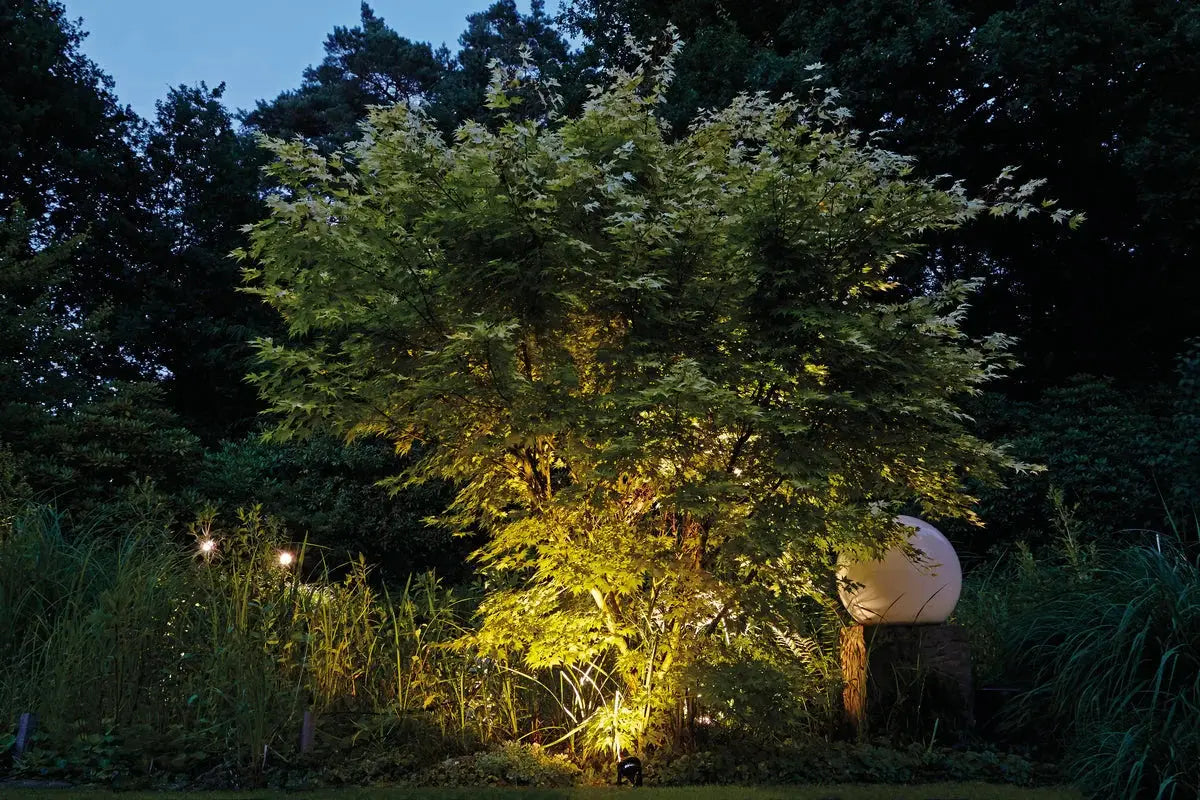 OASE LED Strahler & Scheinwerfer – kraftvolles Licht für Garten und Teich - Japankoi.net