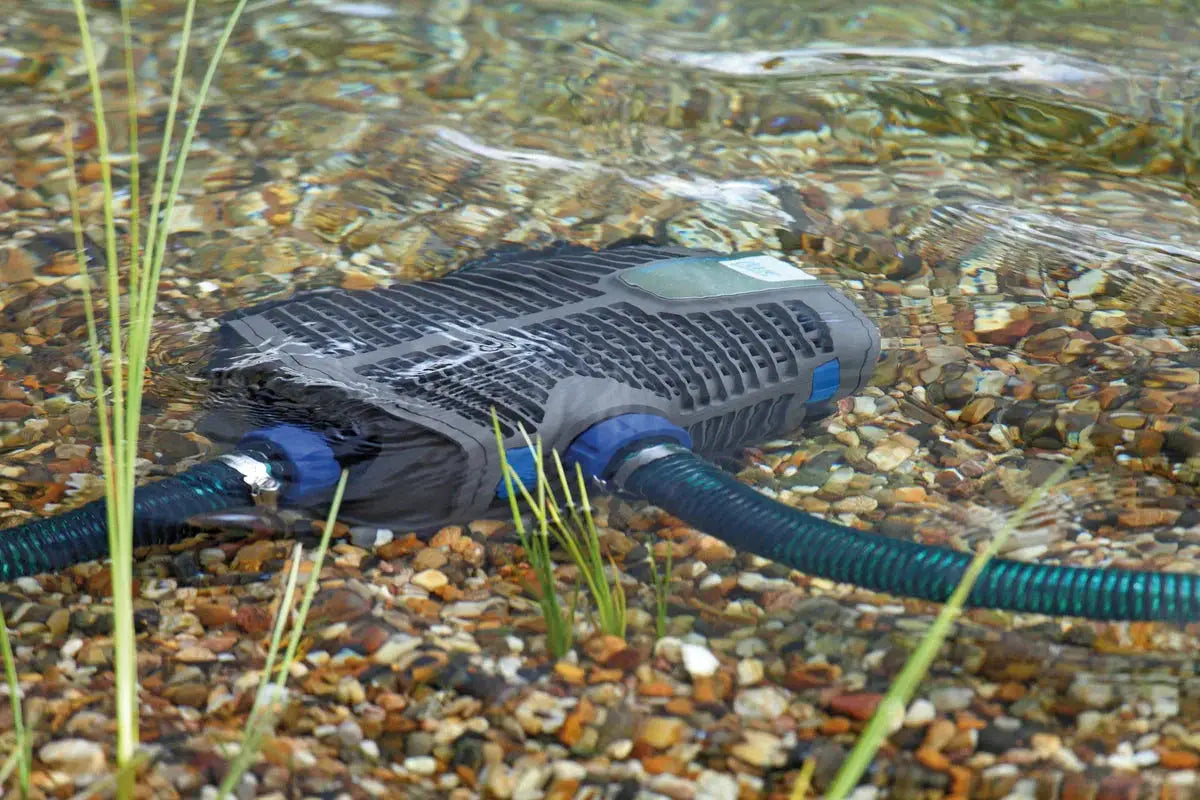 OASE Schwimmteichpumpen 12V – sauberes Wasser für pures Badevergnügen - Japankoi.net