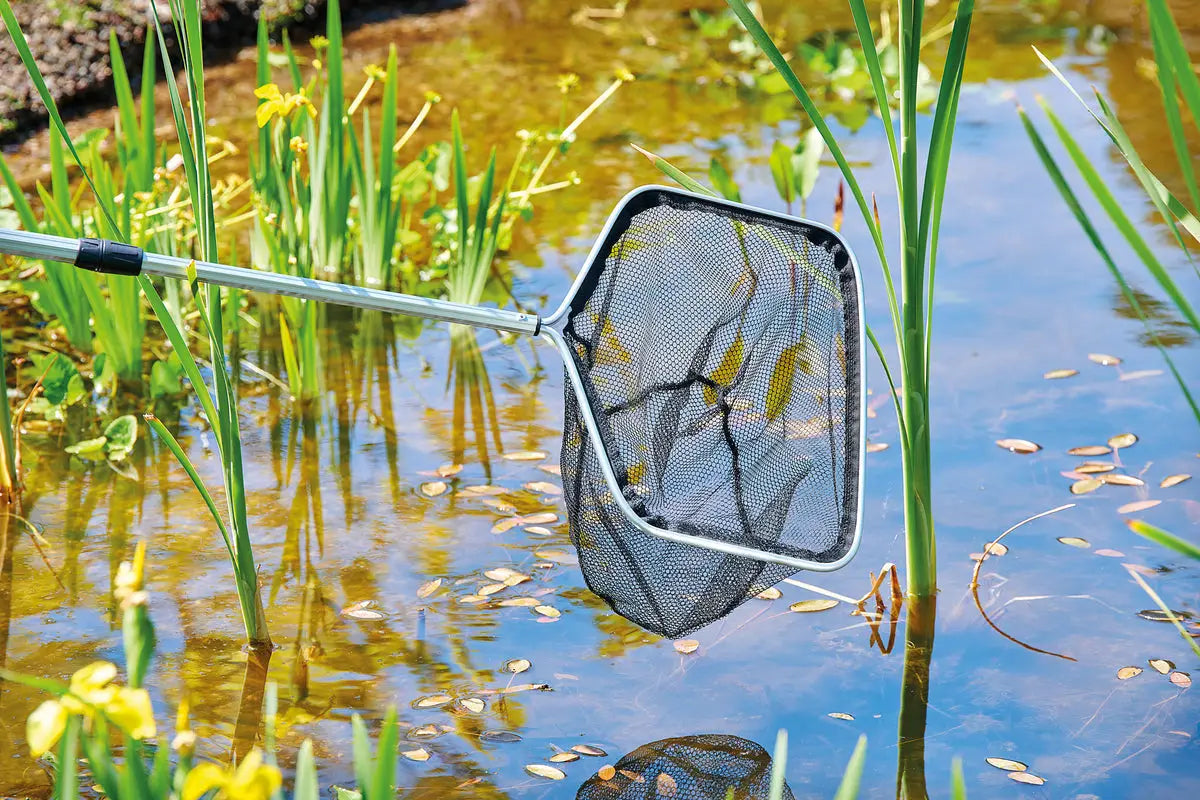 Teichkescher – praktische Helfer für Pflege und Fischfang - Japankoi.net
