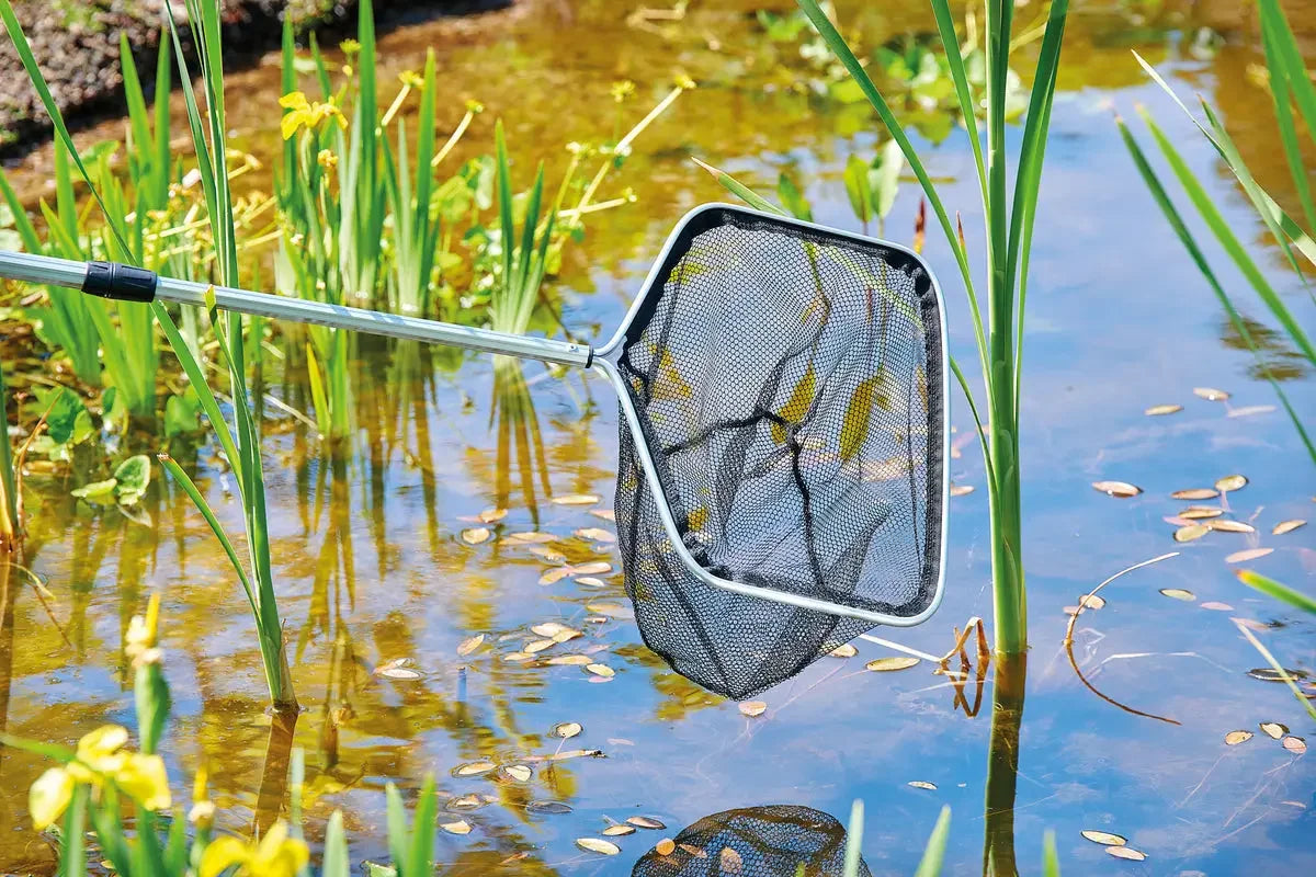 Teichkescher – praktische Helfer für Pflege und Fischfang - Japankoi.net