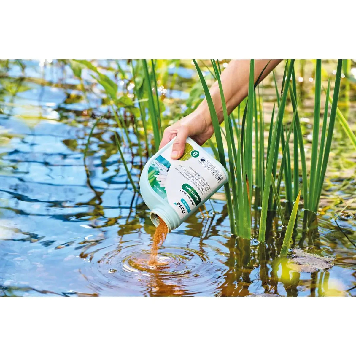 Wasser stabilisieren – für ein gesundes Teichgleichgewicht - Japankoi.net