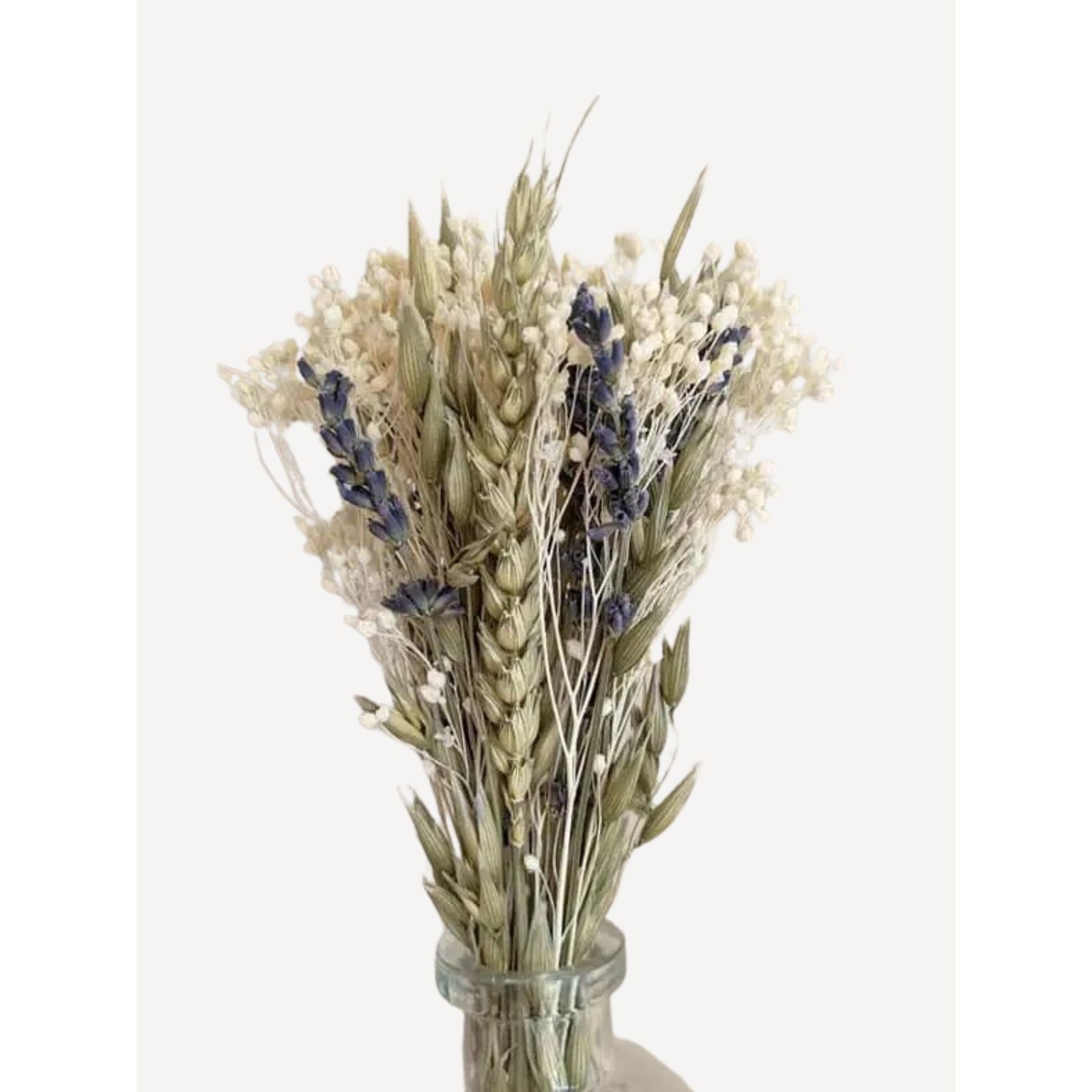 Masion Oline - Trockenblumen - COLETTE - Kleiner Strauß natürlicher Trockenblumen