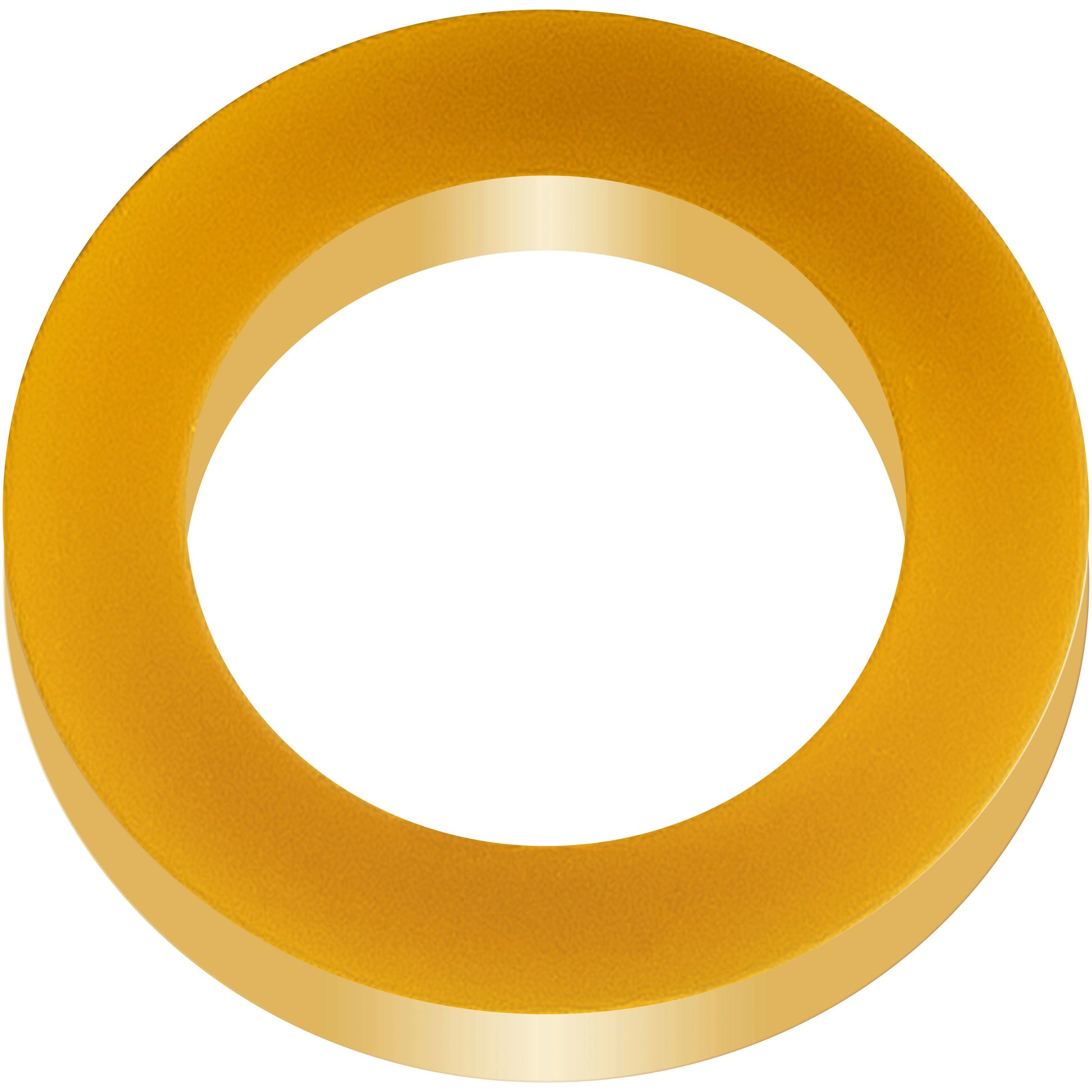sera O-Ring für CO₂-Druckminderer nach 2008