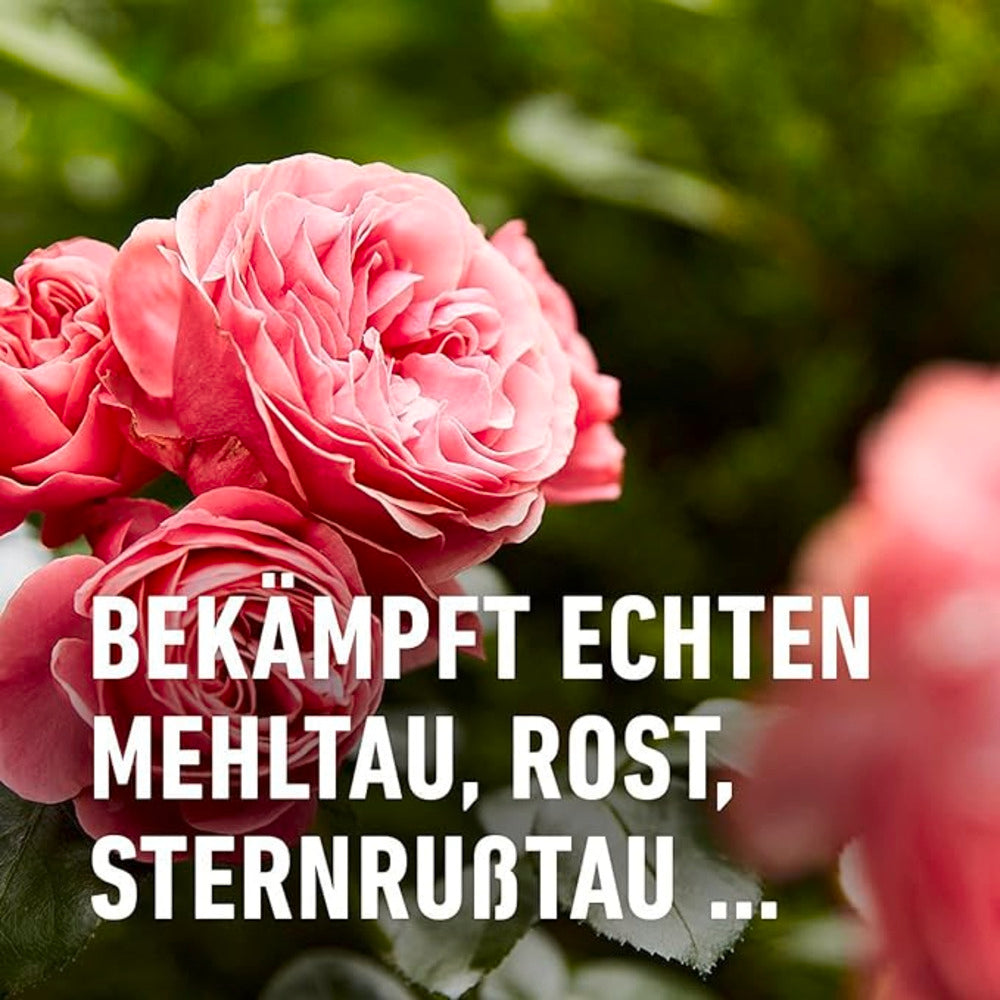 COMPO Duaxo® Rosen Pilz-frei AF