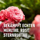 COMPO Duaxo® Rosen Pilz-frei AF Fungizid-Spray