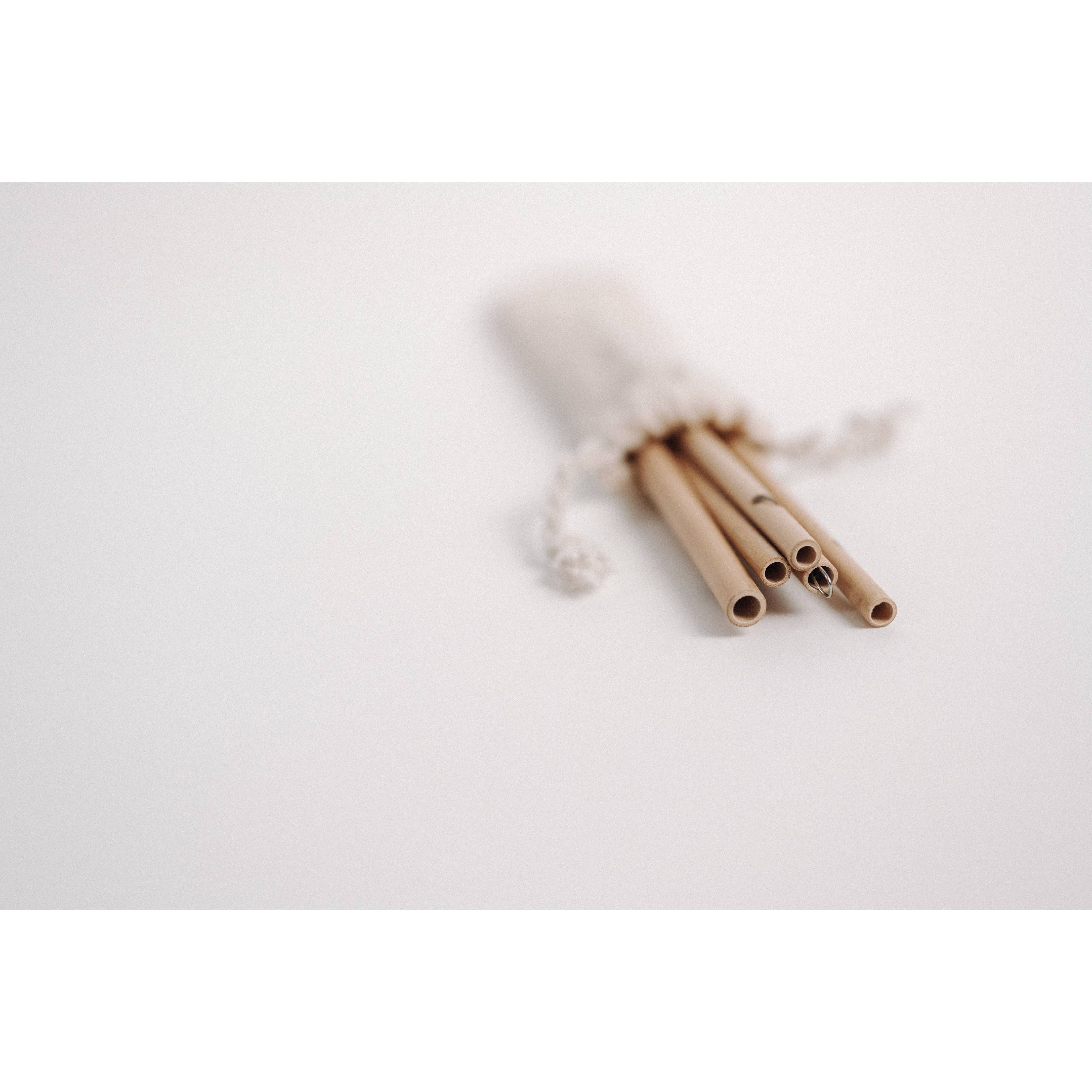 Bambus Strohhalme - JustStraws - 5er Pack