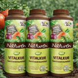 NATUREN Bio Vitalkur Gemüsestreumittel 3 x 600 g
