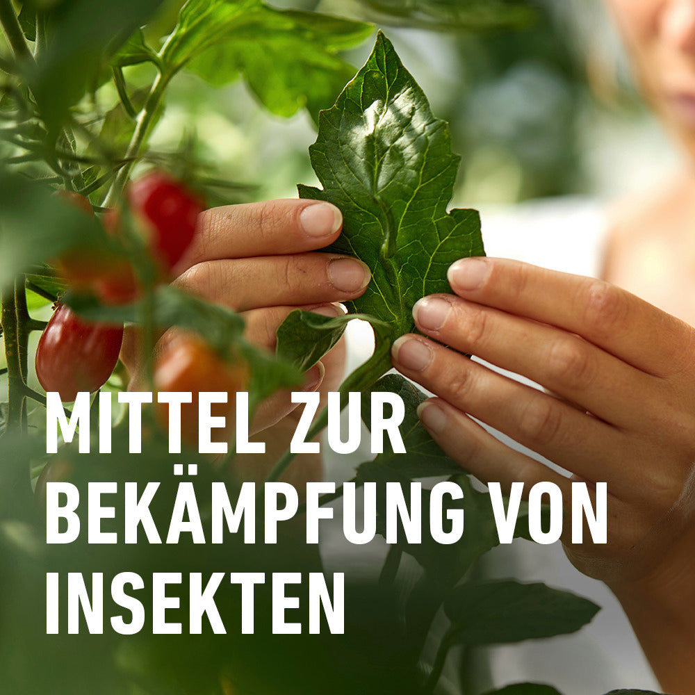 COMPO Insekten-frei Neem