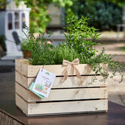 Kräuterkiste "Kräuterbalkon"