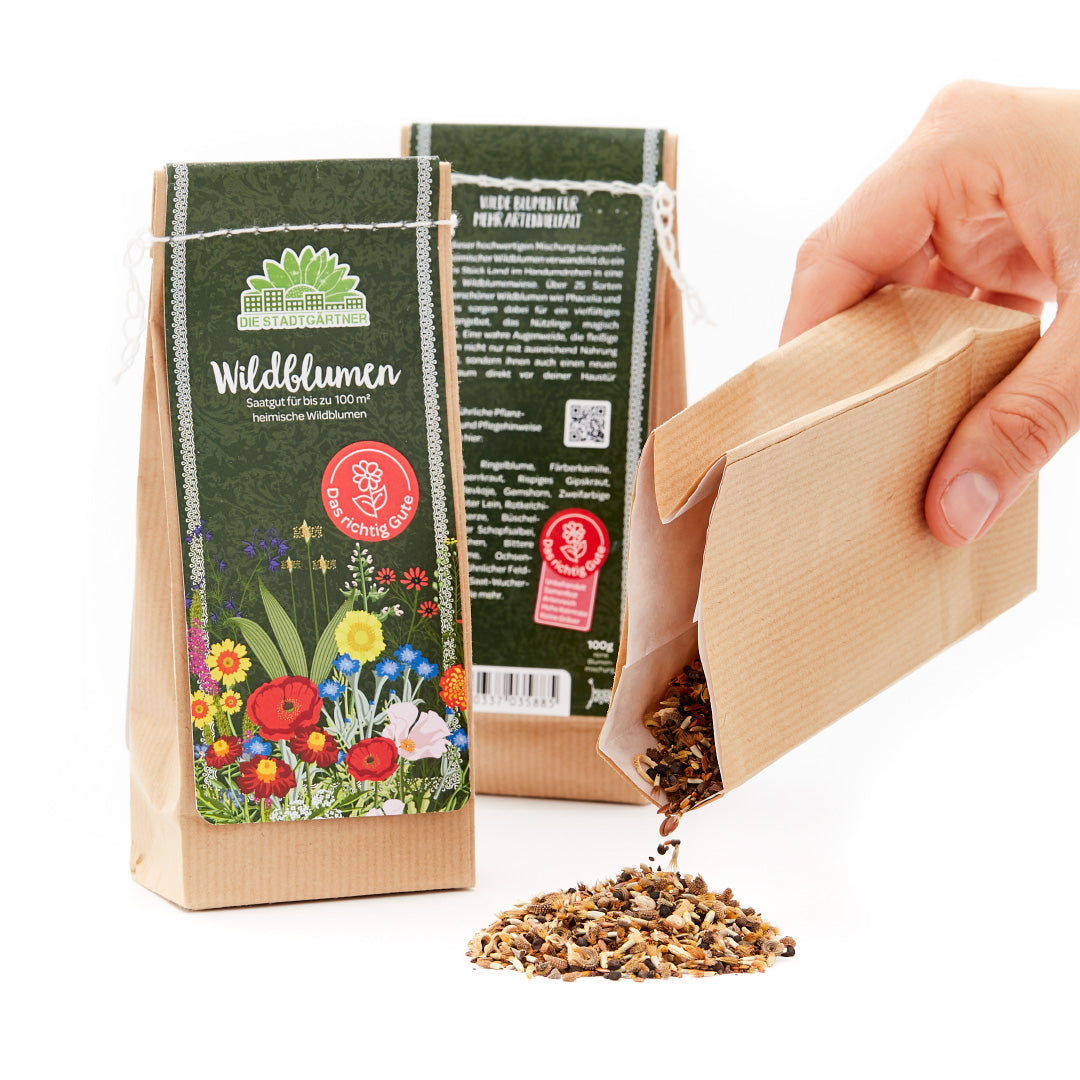 100 g Wildblumen-Saatgut