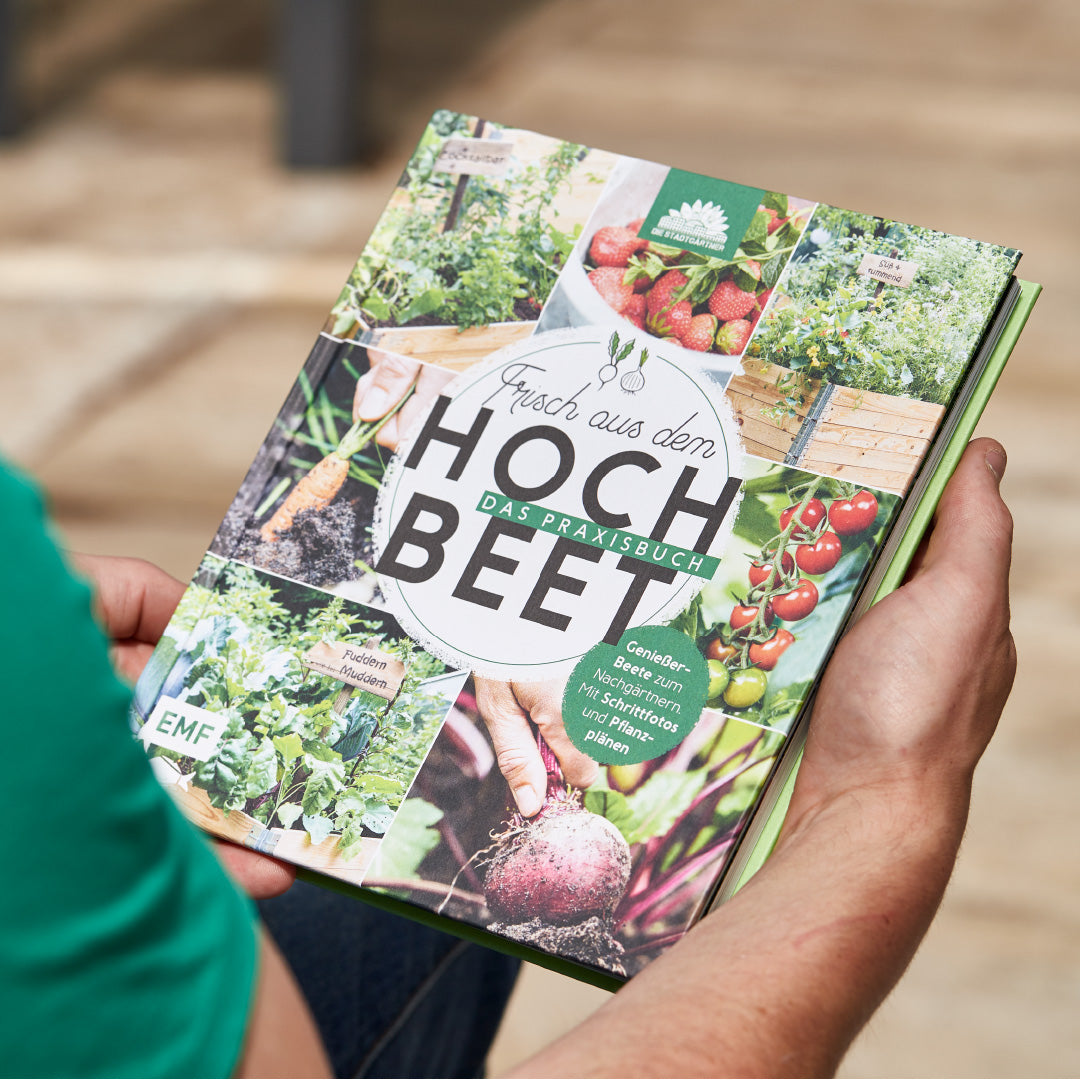 Buch "Frisch aus dem Hochbeet"