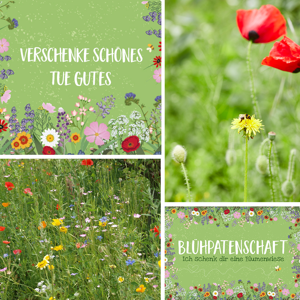 Patenschaft für 10 m² Blumenwiese zum Ausdrucken