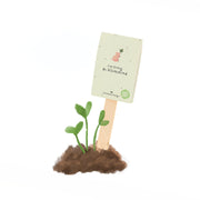 Viel Erfolg du Glückskind - Saatgruß