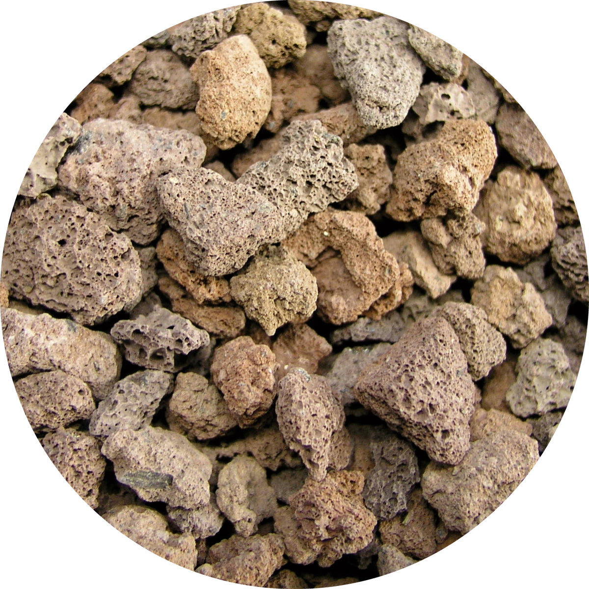 EHEIM LAV 5050g ≈ 5l