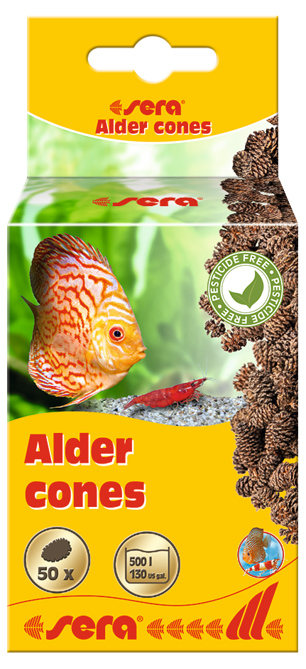 sera Erlenzapfen