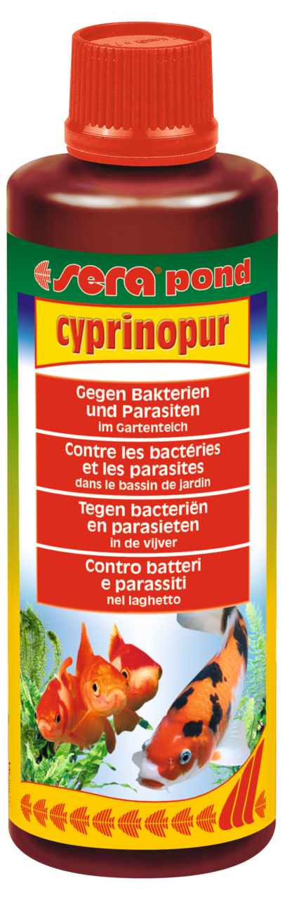 sera pond cyprinopur