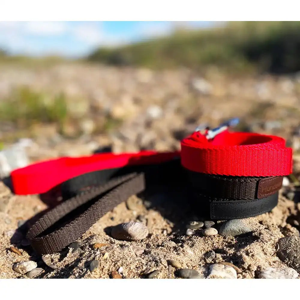 Hundeleine UM'S ECK (1,50 m) aus BioThane®/POP - Band by Der Hundegefährte