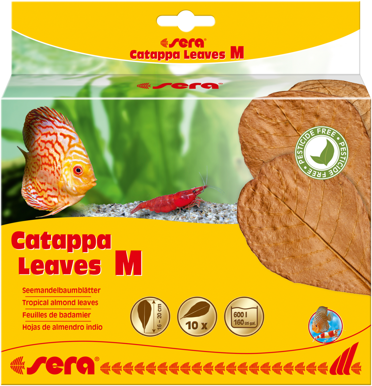 sera Catappa Leaves