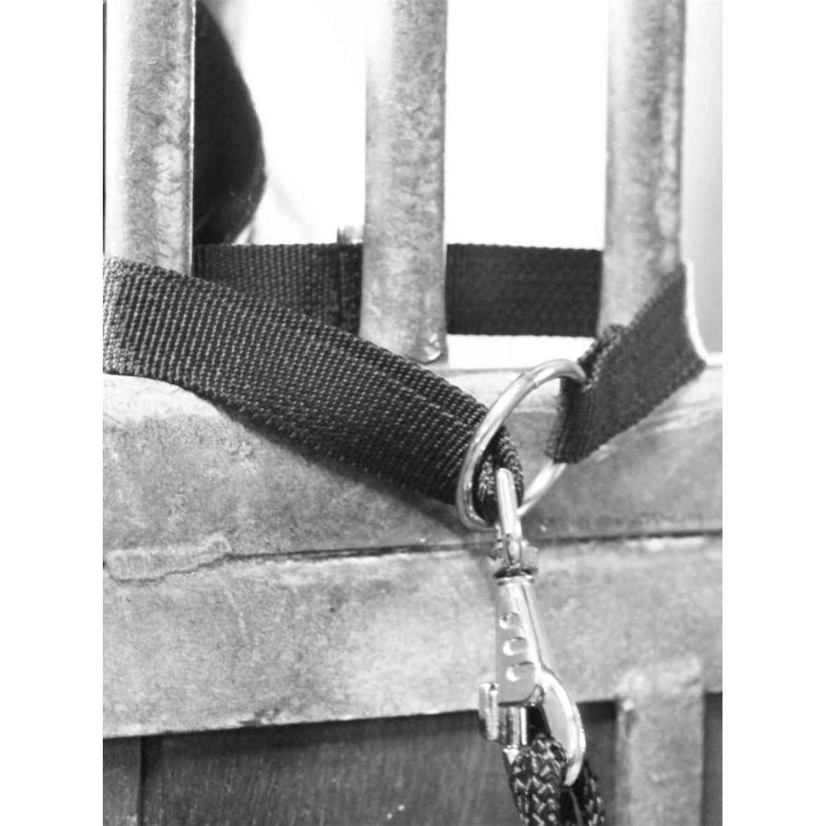 EQuest Universalhalterung ohne Verstellmöglichkeit