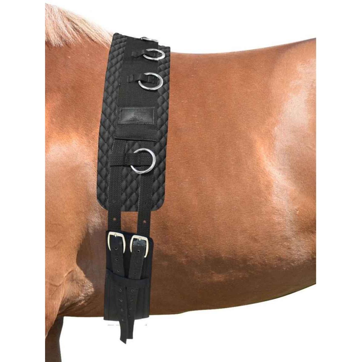 EQuest Longiergurt Classic