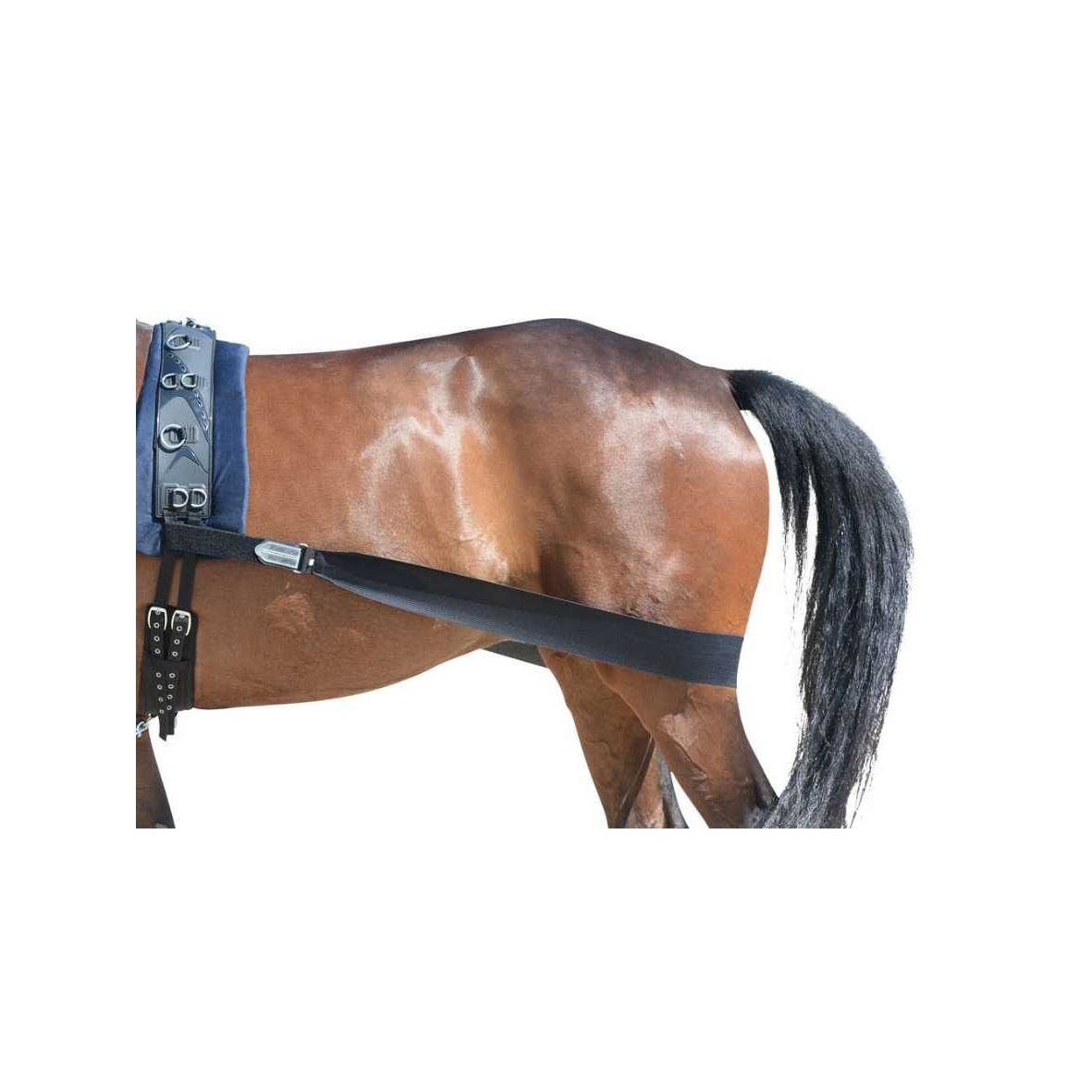 EQuest Körperbandage