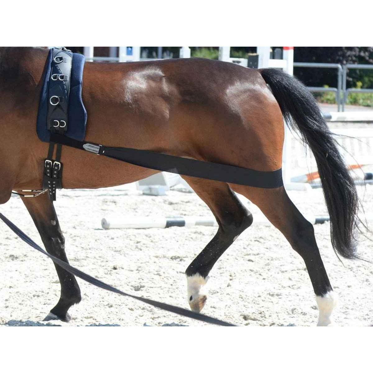 EQuest Körperbandage