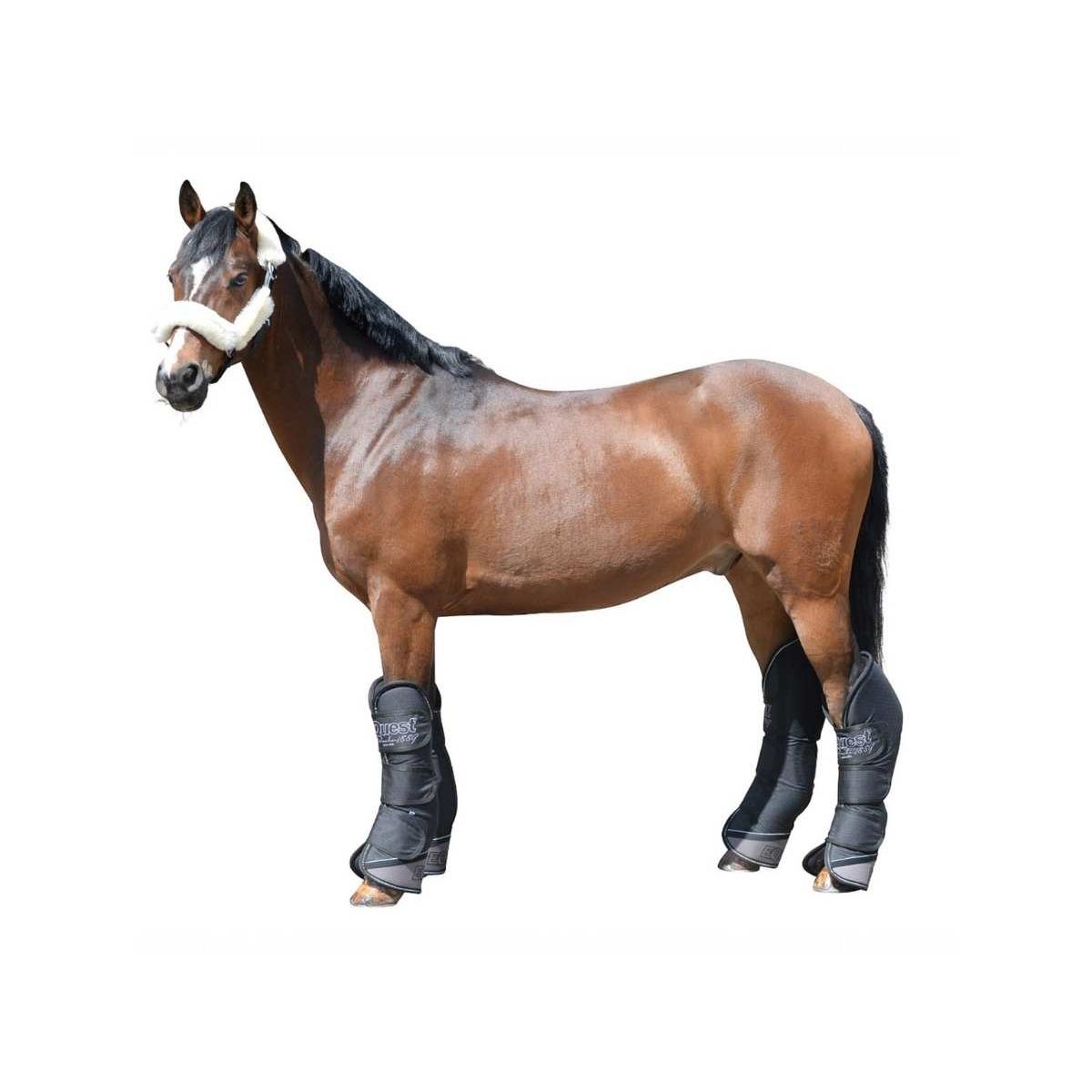 EQuest Transportgamasche, 4er Set