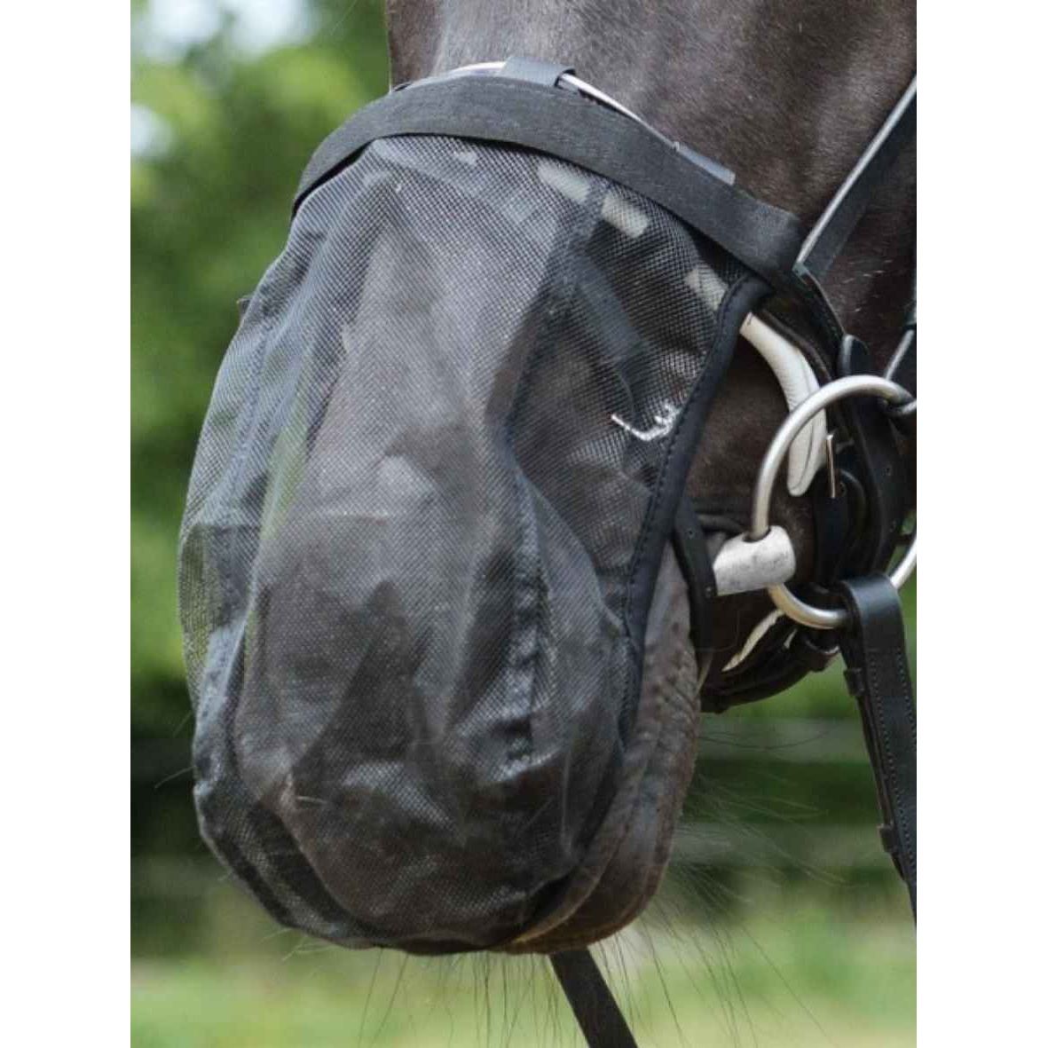 EQuest Fliegenschutz Headshaking