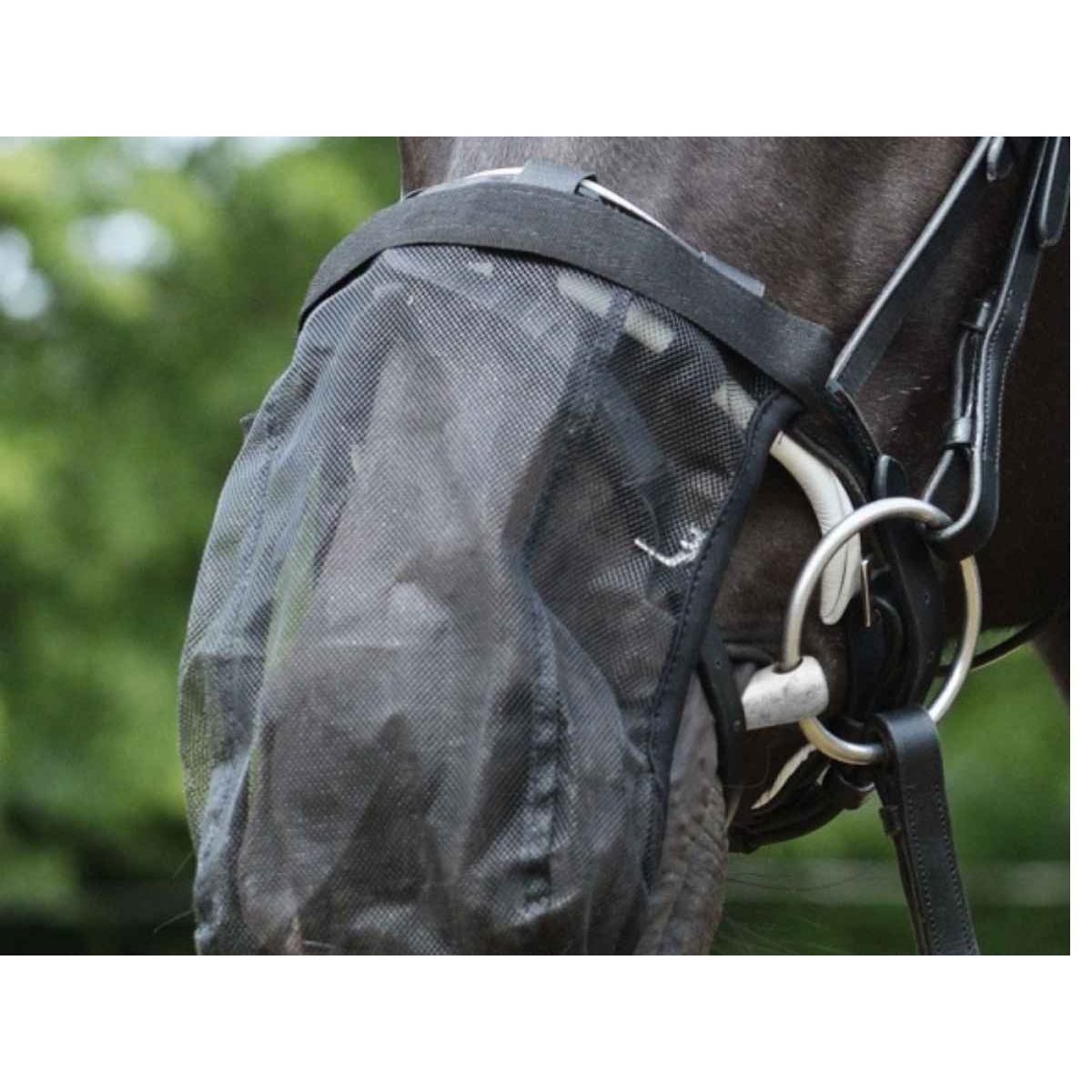 EQuest Fliegenschutz Headshaking