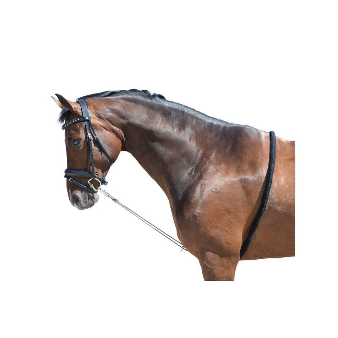 EQuest Softtouch Longierhilfe 2 Ringe