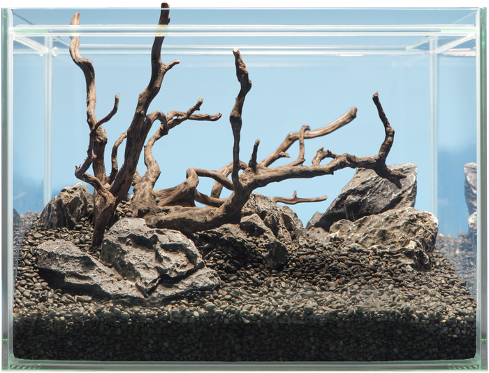 sera Hardscape Scaper Cube Shrimp