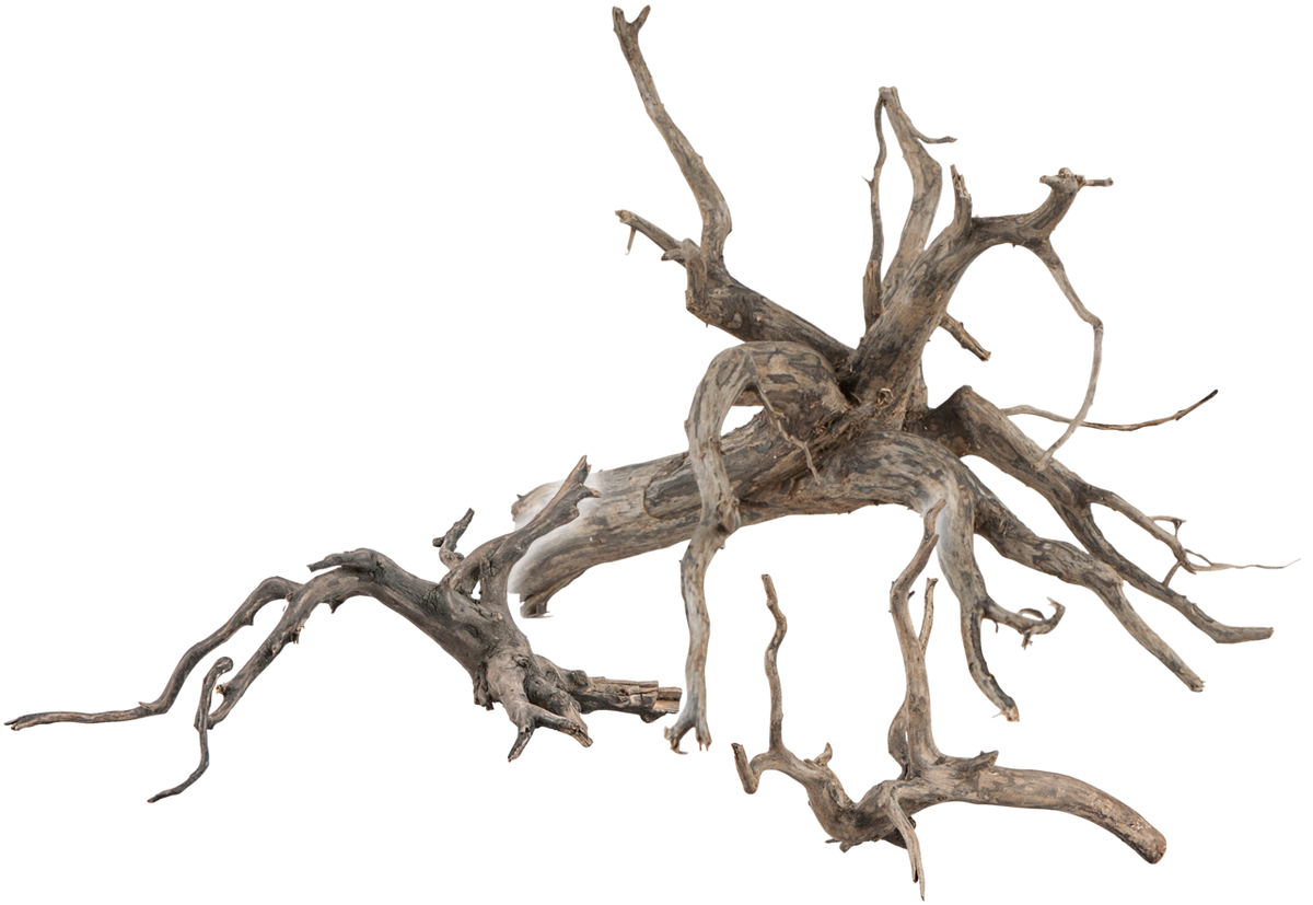 sera Scaper Root