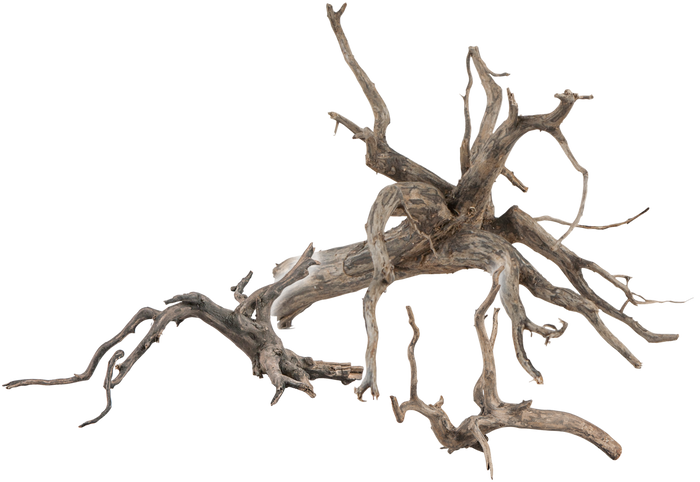 sera Scaper Root