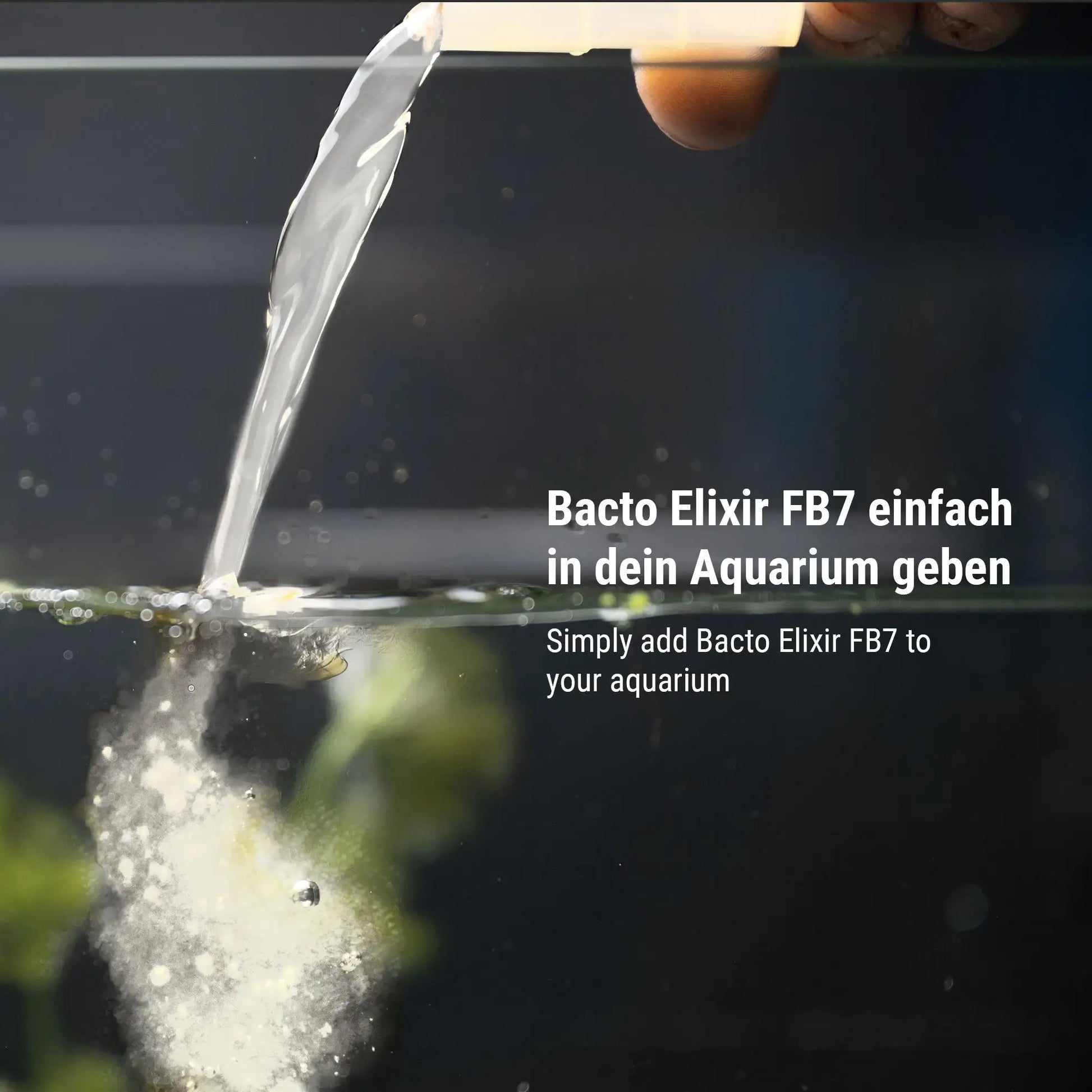 Bacto Elixir FB7
